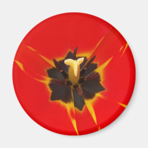 Tulpe Magnet