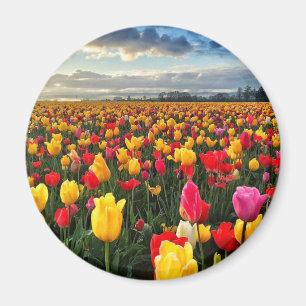 Tulpe Magnet