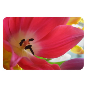 Tulpe Magnet