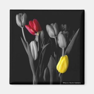 Tulpe-Magnet Magnet