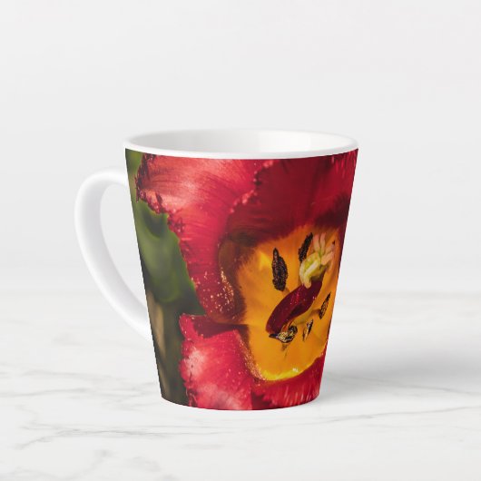 Tulpe Milchtasse (Linke Ecke)