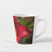 Tulpe Milchtasse (Rechts)