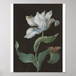 Tulpe mit einem Gartenbär von B. R. Dietzsch Poster