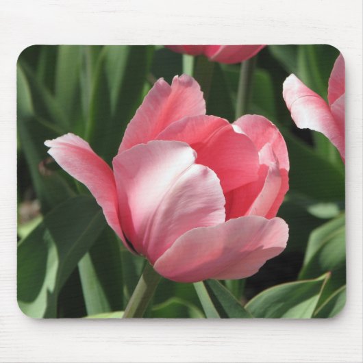Tulpe Mousepad (Vorne)