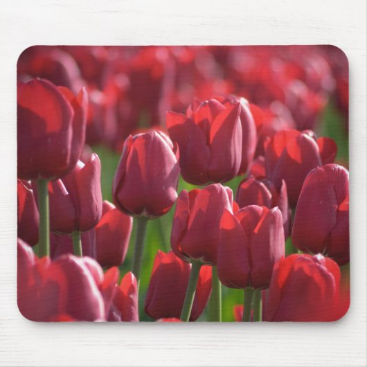 Tulpe Mousepad (Vorne)