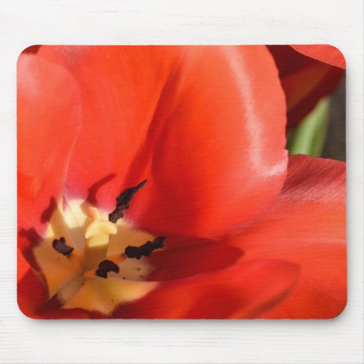 Tulpe Mousepad (Vorne)