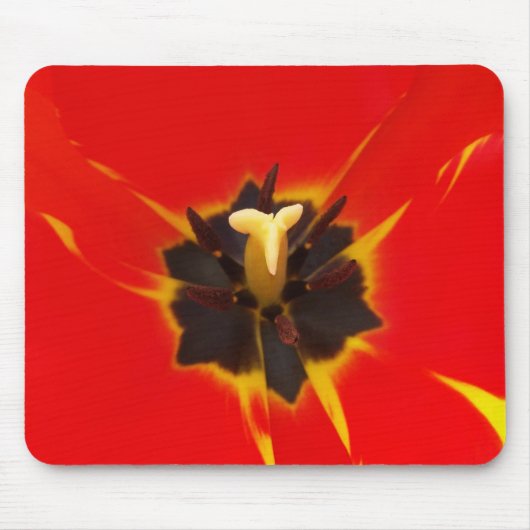 Tulpe Mousepad (Vorne)