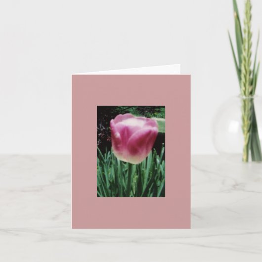 Tulpe NoteCard Karte (Vorderseite)