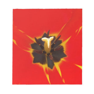 Tulpe Notizblock