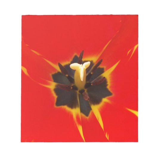 Tulpe Notizblock (Vorderseite)