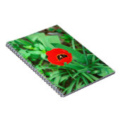 Tulpe Notizblock (Rechte Seite)
