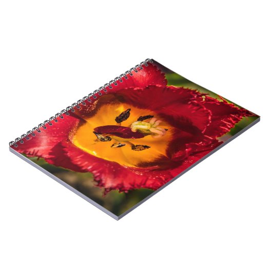 Tulpe Notizblock (Linke Seite)