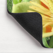 Tulpe-Pappel-Blüte Mousepad (Ecke)