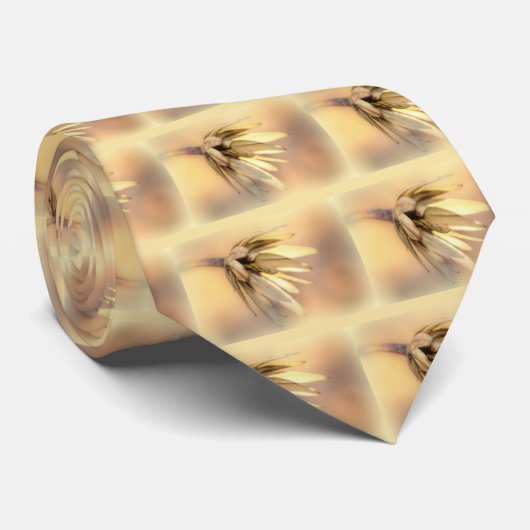 Tulpe-Pappel-leere Samen-Hülse Krawatte (Gerollt)