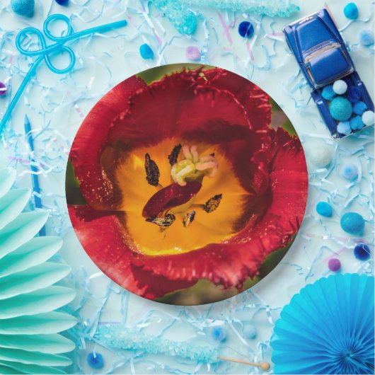 Tulpe Pappteller (Party)