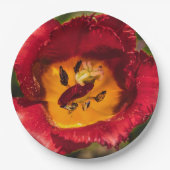 Tulpe Pappteller (Vorderseite)