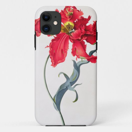 Tulpe: Perroquet Rouge Case-Mate iPhone Hülle (Rückseite)
