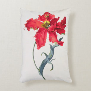 Tulpe: Perroquet Rouge Dekokissen