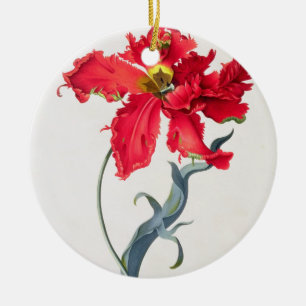 Tulpe: Perroquet Rouge Keramikornament