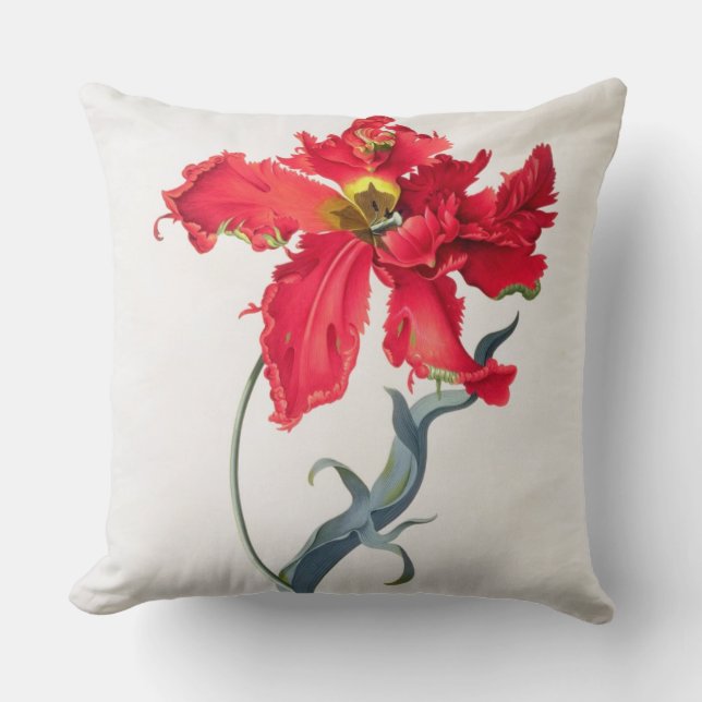 Tulpe: Perroquet Rouge Kissen (Vorderseite)