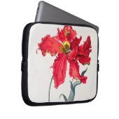 Tulpe: Perroquet Rouge Laptopschutzhülle (Vorne Rechts)