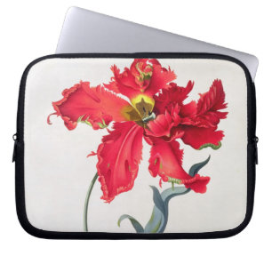 Tulpe: Perroquet Rouge Laptopschutzhülle