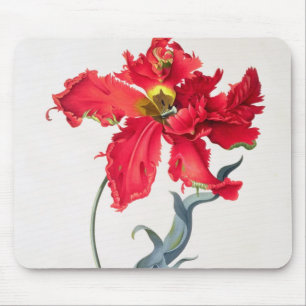 Tulpe: Perroquet Rouge Mousepad