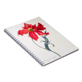 Tulpe: Perroquet Rouge Notizblock (Rechte Seite)