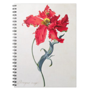 Tulpe: Perroquet Rouge Notizblock