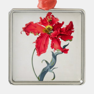 Tulpe: Perroquet Rouge Ornament Aus Metall