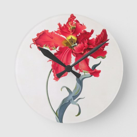 Tulpe: Perroquet Rouge Runde Wanduhr (Vorderseite)