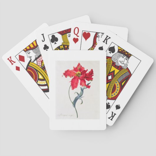 Tulpe: Perroquet Rouge Spielkarten (Rückseite)