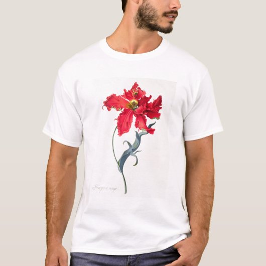 Tulpe: Perroquet Rouge T-Shirt (Vorderseite)
