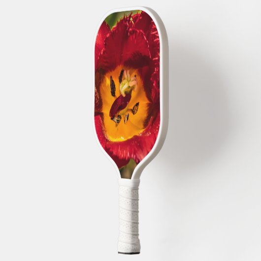 Tulpe Pickleball Schläger (Links)