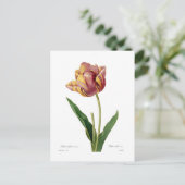 Tulpe Postkarte (Stehend Vorderseite)