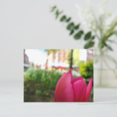 Tulpe Postkarte (Stehend Vorderseite)