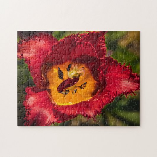 Tulpe Puzzle (Horizontal)
