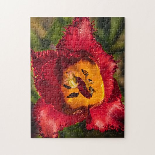 Tulpe Puzzle (Vertikal)