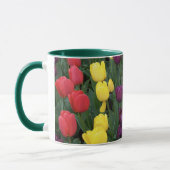 Tulpe-Regenbogen Tasse (Links)