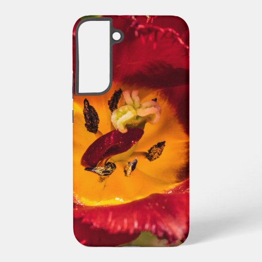 Tulpe Samsung Galaxy Hülle (Rückseite)