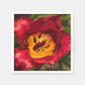 Tulpe Serviette (Vorderseite)