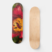 Tulpe Skateboard (Vorderseite)