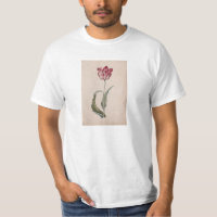 Tulpe-T - Shirt Judith Leyster