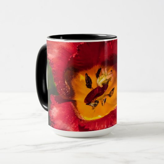 Tulpe Tasse (Vorderseite Links)