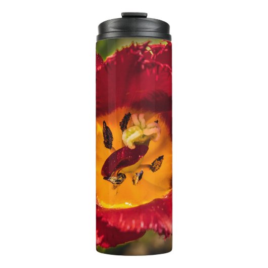 Tulpe Thermosbecher (Vorderseite)