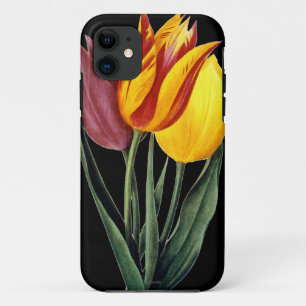 Tulpe (Tulipa Gesneriana) Case-Mate iPhone Hülle