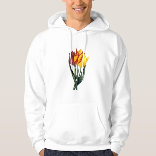 Tulpe (Tulipa Gesneriana) Hoodie (Vorderseite)