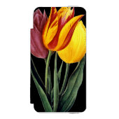 Tulpe (Tulipa Gesneriana) Incipio iPhone Geldbeutel-Hülle (Folio Vorderseite)