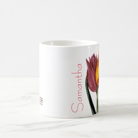 Tulpe (Tulipa Gesneriana) Kaffeetasse (Mittel)
