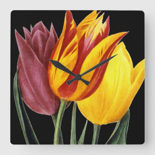 Tulpe (Tulipa Gesneriana) Quadratische Wanduhr